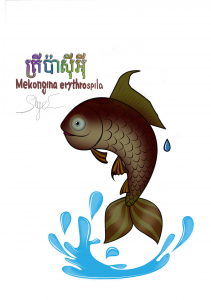 ត្រីប៉ាស៊ីអ៊ី (Mekongina Eerythrospila Fish)
