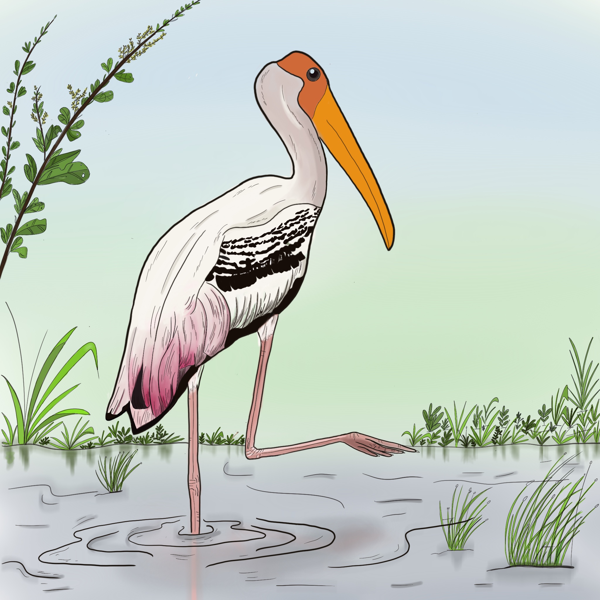 The Painted Stork_by Tan Viriya, YEA: Waterbird Generation