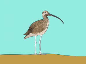 Both ßPÉßƒÆßP£ßP¦ßPäßPÆßƒå 3 2 Color