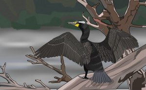 Nov ßPÇßƒÆßPóßƒéßPÇßPæßP¦ßPÇßPÆßƒå Color 3