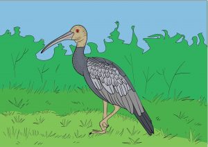 Pheakra ßPÅßƒÆßPÜßPÖßPäßPÖßPÇßƒÆßPƒ Color 3