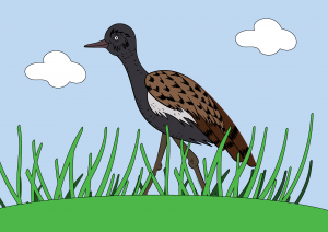 Pheaktra ßPüßƒÆßPƒßP+ßPö Color 3.1