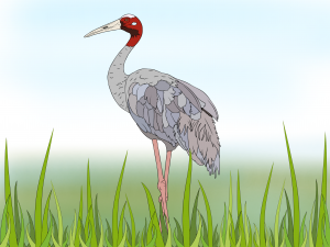 Sokmean ßPÇßƒÆßPÜßƒÇßP¢ Color 3