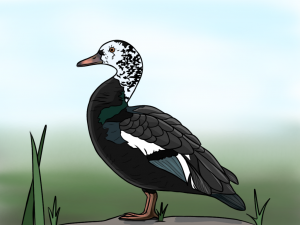 Sokmean ßPæßP¦ßPûßƒÆßPÜßƒâßPƒßƒÆßP¢ßP¦ßPößPƒ Color 3