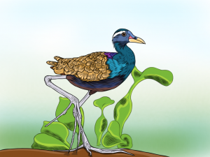 Sokmean ßPûßƒÆßPÜßPáßP+ßPÅßPüßƒÆßPÿßƒà Color 3