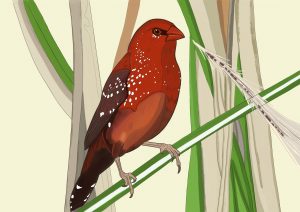 Viriya ßPàßP¦ßPößPÿßP¦ßPƒ Color 3